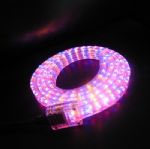 PVC LED rope 4-wire LED