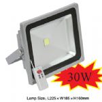 Energy Saving 30W LED RGB Flood Light IP65