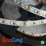 2835 WW+CW Double Color LED Strip, Adjustable CCT Multicolor LED Strip Light